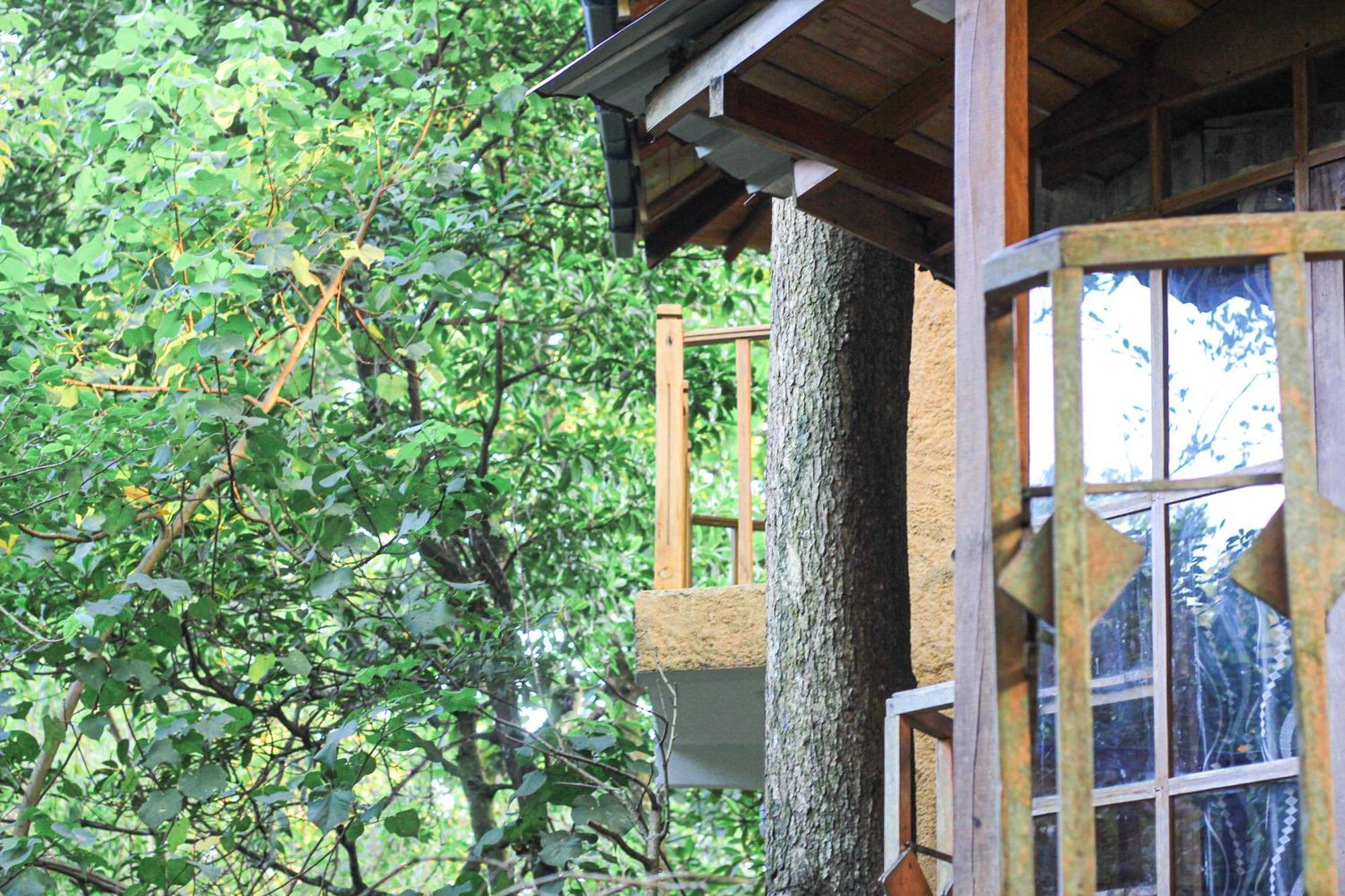 马特勒 Seasons Four Eco Friendly Treehouse旅馆 外观 照片